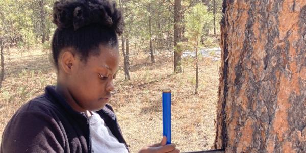 Sade Clemons twists a hand auger to take a narrow core from a tree