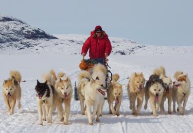 Irina Overeem uses a dogsled to get to a river gauging station in Greenland 