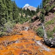 A mountain stream in the upper Mancos river basin, displaying a rusty red bed, flows toward the viewer. Mountain slopes covered with pine trees are in the background. Photo by Andrew Manning.