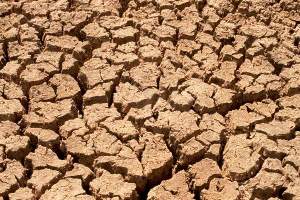 Drought banner photo