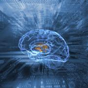 Brain with AI