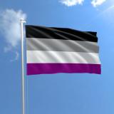 Asexuality Flag
