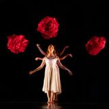 Photo of Alice from MOMIX- Alice performance