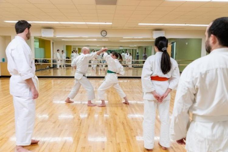 people doing martial arts in a studio