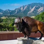 Flatirons in Boulder, CO behind a statue of a buffalo 