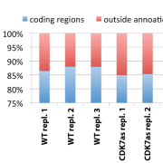 percentage of reads coding