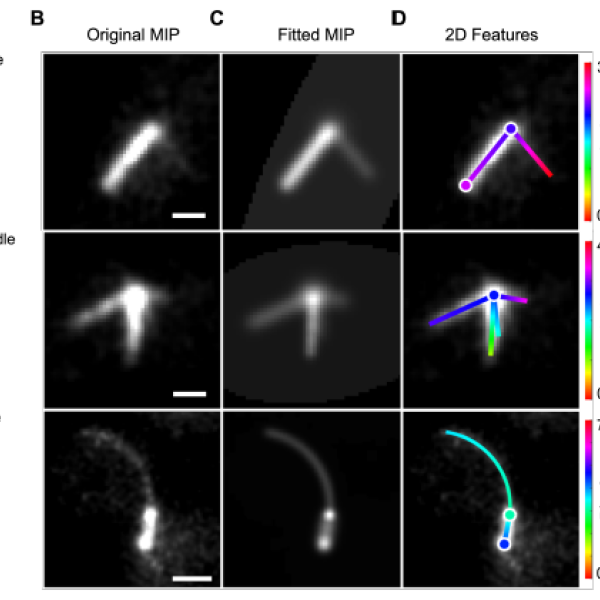 Depiction of image analysis method