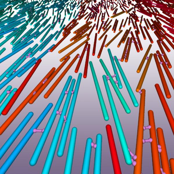 Bulk simulation of crosslinked motile spherocylinders