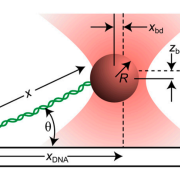 experimental schematic