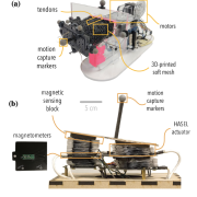 Two examples of soft robotic platforms with highly non-linear sensors and actuators