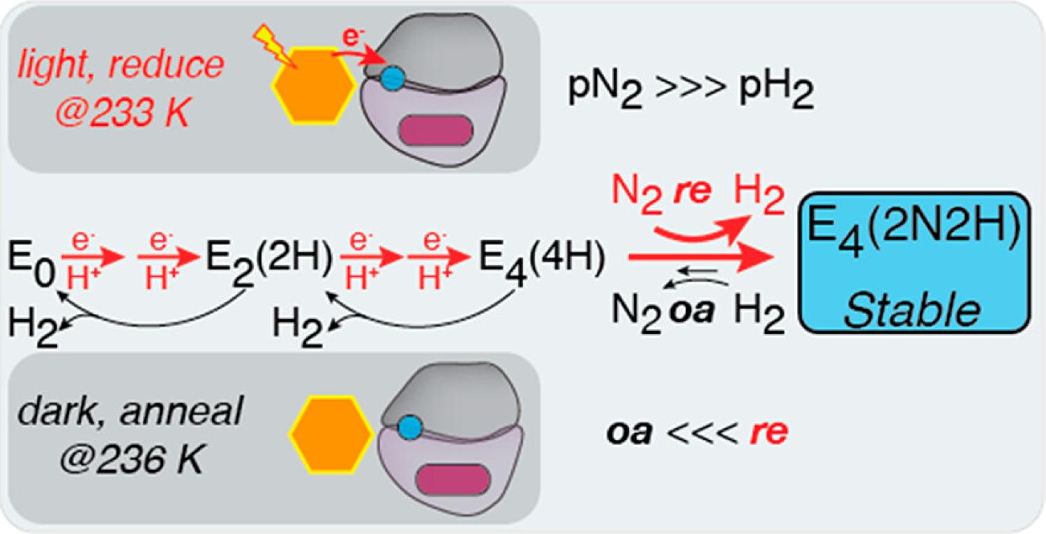 TOC image for 2023 JACS paper