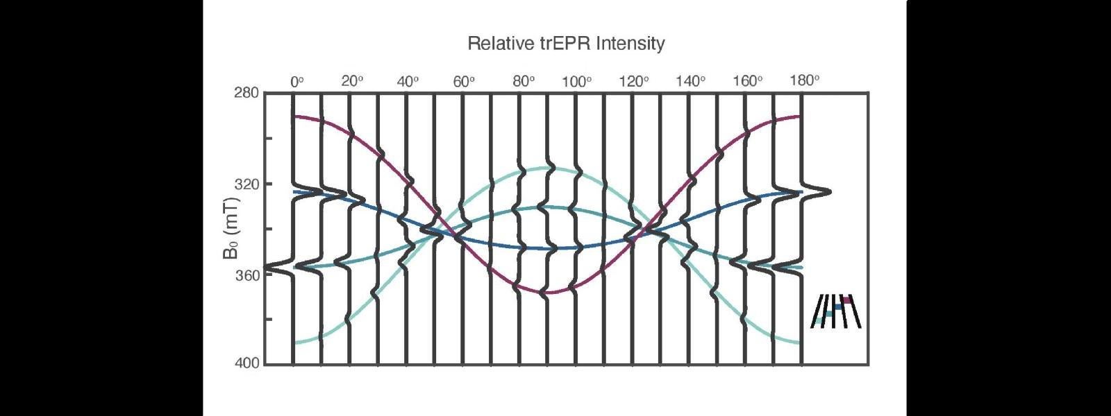 Calculated prompt ^5TT EPR spectra for parallel singlet fission chromophores rotated with respect to the static field
