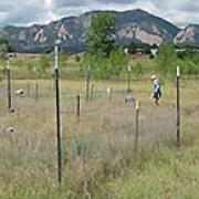 field site in boulder colorado, flatiron mountains in the background