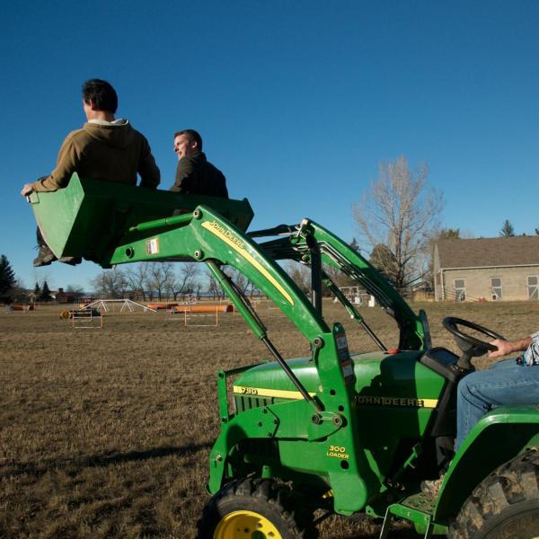 Brad driving the boys on the tractor