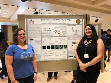 Kelsie and Angela standing next to Angela's poster at the end-of-summer poster session. Angela's poster is titled "Zinc dynamics in cAMP-PKA cell signaling."