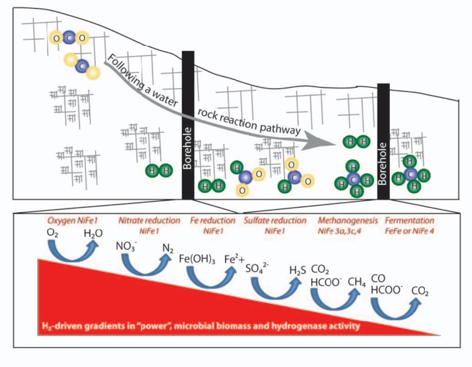 Figure 1. Schematic representing opportunities in Oman to utilize a borehole observatory aligned along a water-rock reaction flow path to measure progressive changes in disequilibrium, rates of production and consumption of energy sources, associated changes in aqueous and solid phase geochemistry, and changes in the activities of key enzymes as power and habitability vary.
