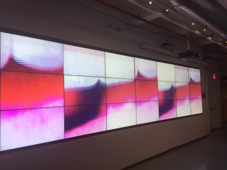 close up images of teeth and lips spread out on a large digital display screen grid.