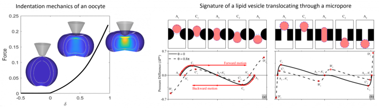 Research vs Analysis: The Differences & Why It Matters