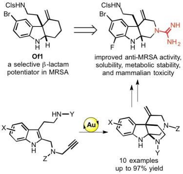 Synthesis and Biological Evaluation of Enantiomerically Pure (R