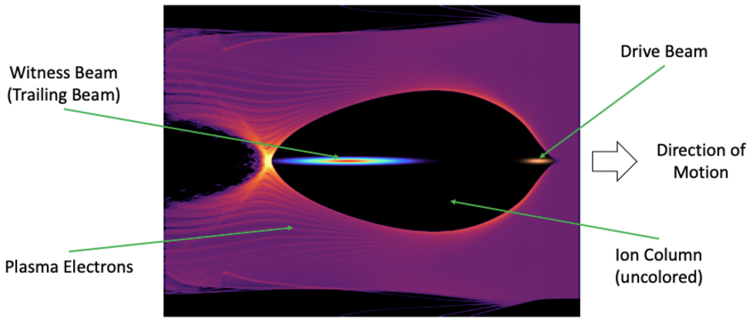 Graphic representation of particle-in-cell (PIC) simulation of an electron beam-driven plasma wakefield accelerator (PWFA).