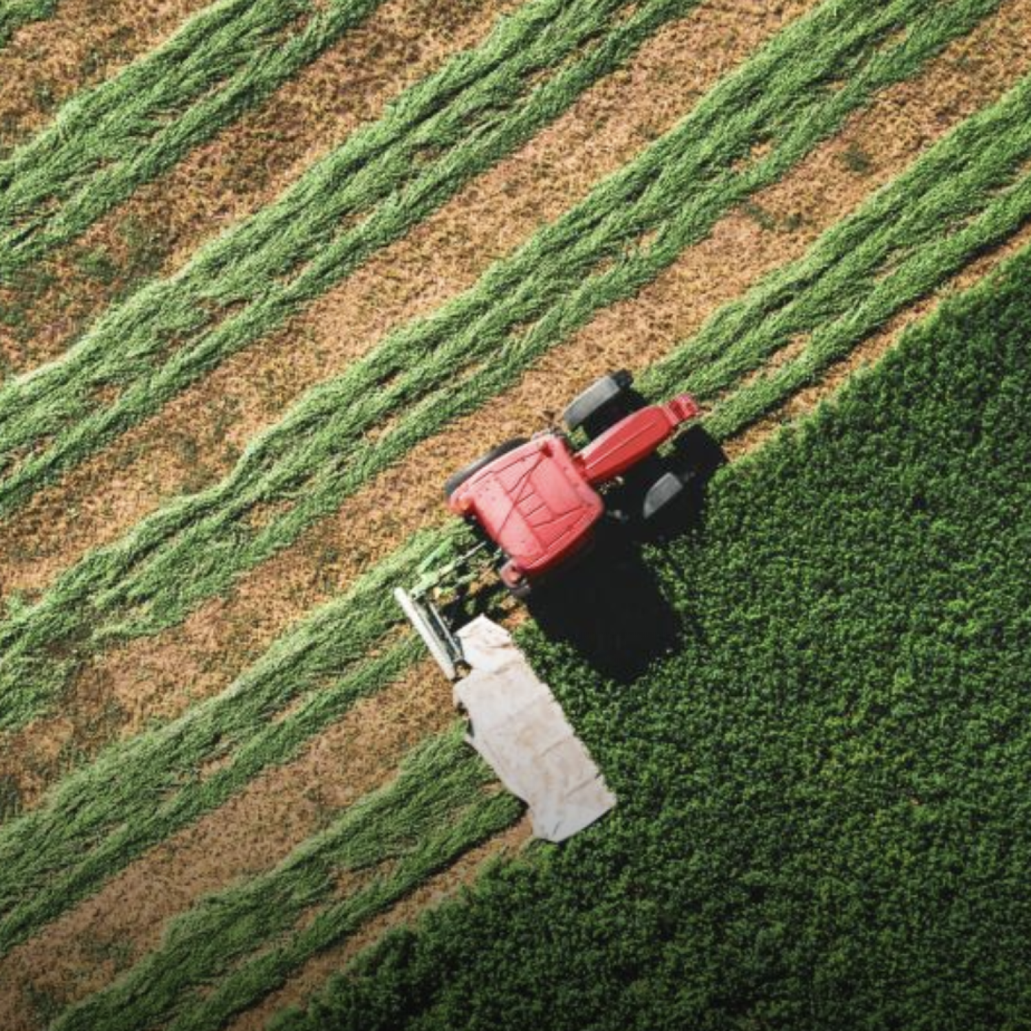 tractor image