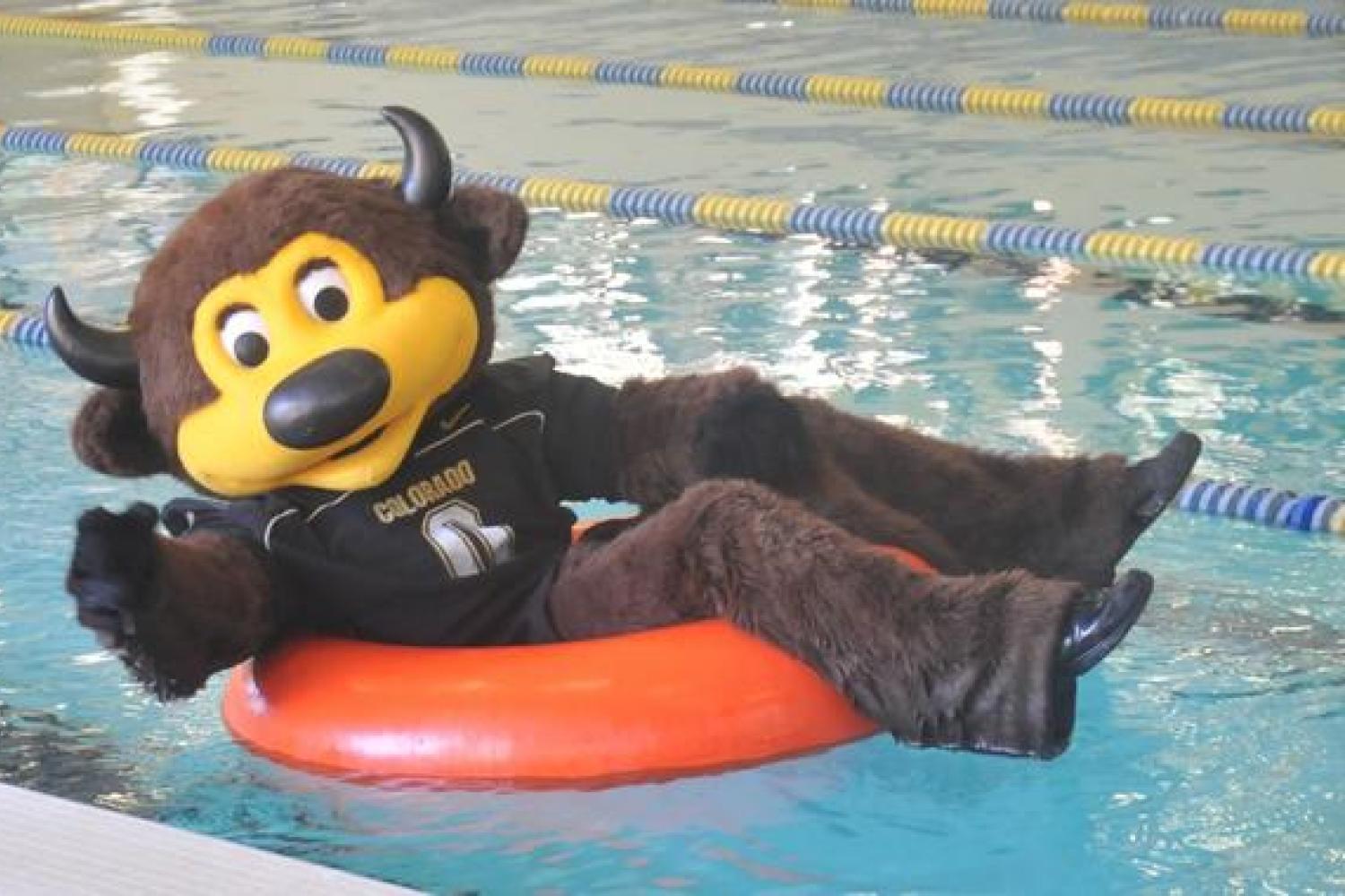 Chip has won best mascot in the nation twice