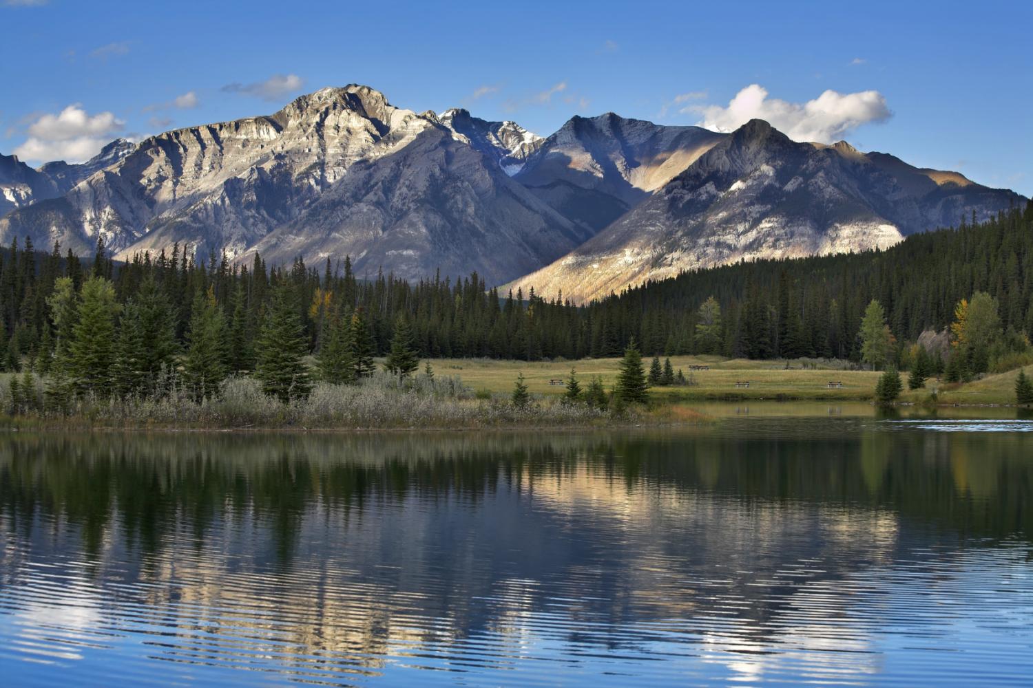 Environmental, Energy, and Natural Resources Law