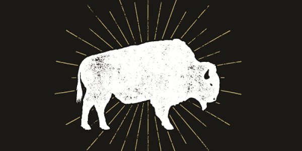white buffalo outline on black background with gold lines surrounding it