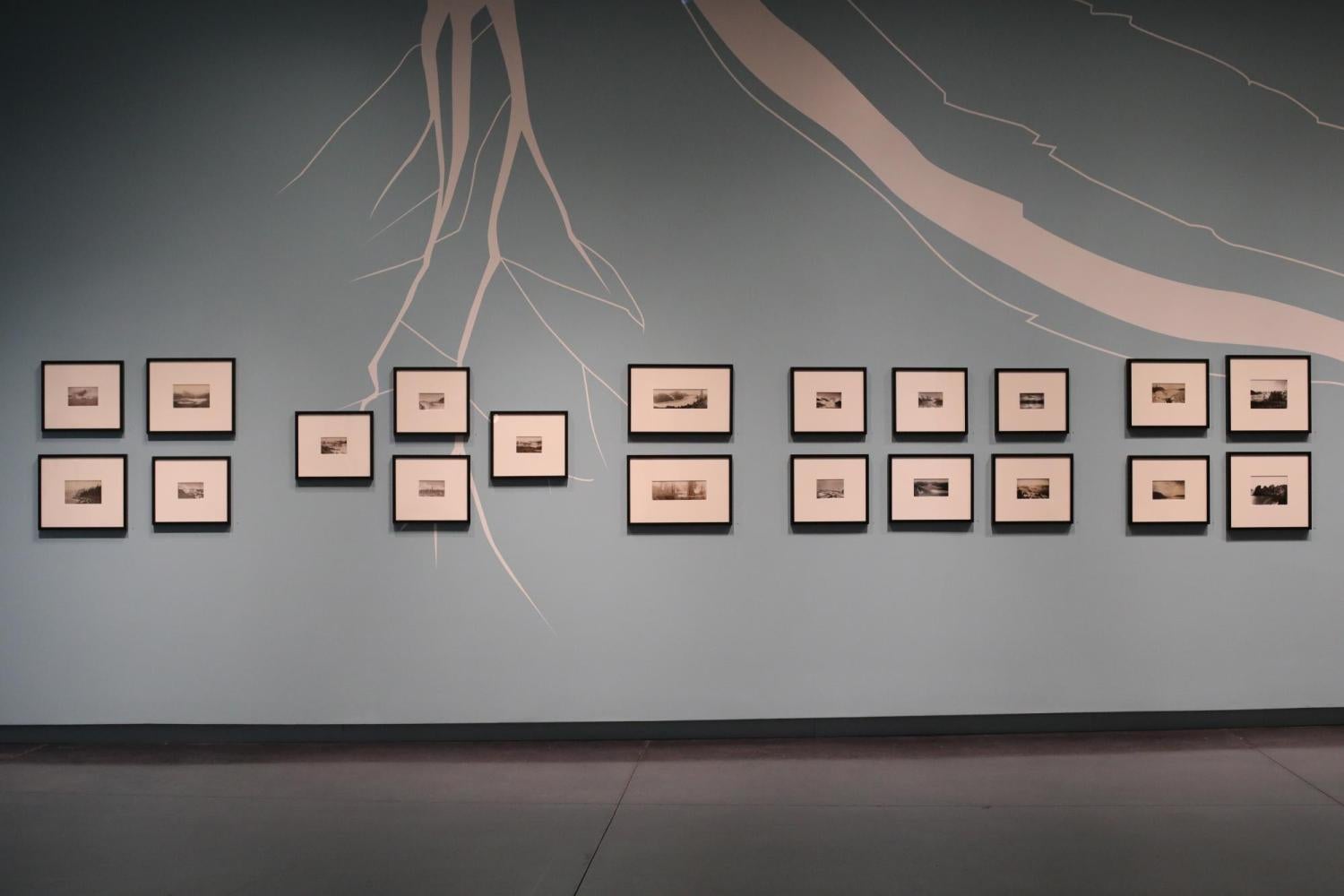 Pieces from the Glacier Photograph Collection displayed on the walls of the CU Art Museum. 