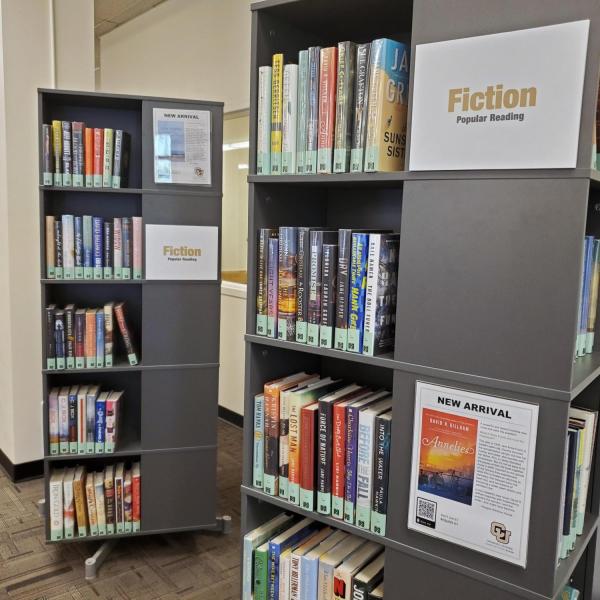 a spinning bookshelf showing one shelf of popular reading titles