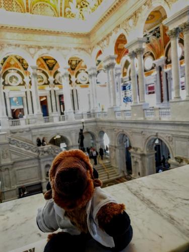 Ralphie takes on the Library of Congress. 