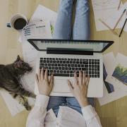 Person sitting with laptop and cat on floor