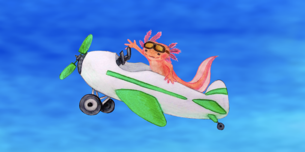 An axolotl in an airplane