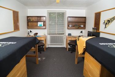 Roommate(s) style room