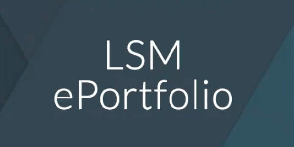 Google Sites ePortfolio tutorial for LSM 