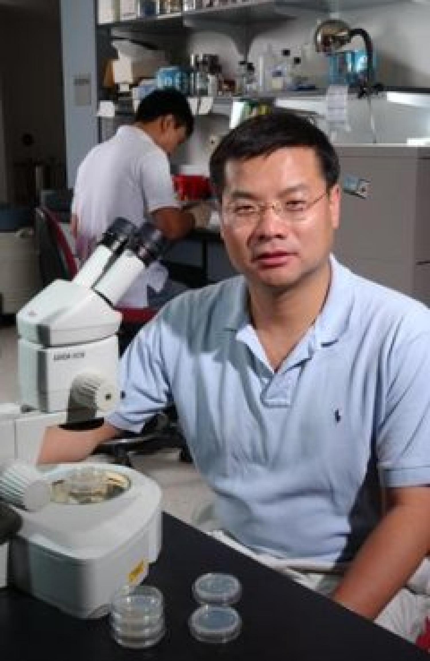 Prof. Ding Xue