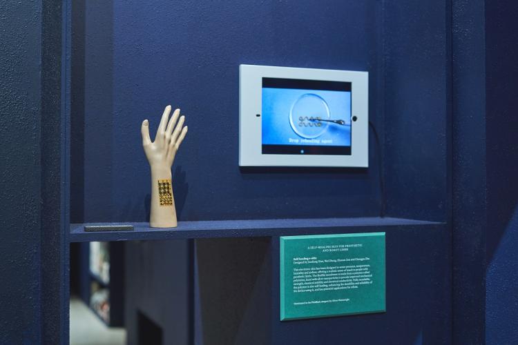 E-skin at museum exhibit