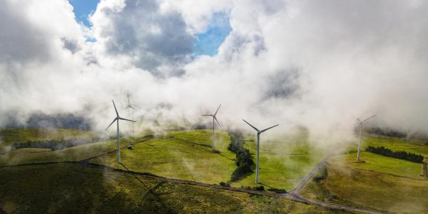 Wind turbines.