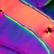 New Liquid Crystal State, Discovered by The Soft Materials Research Center