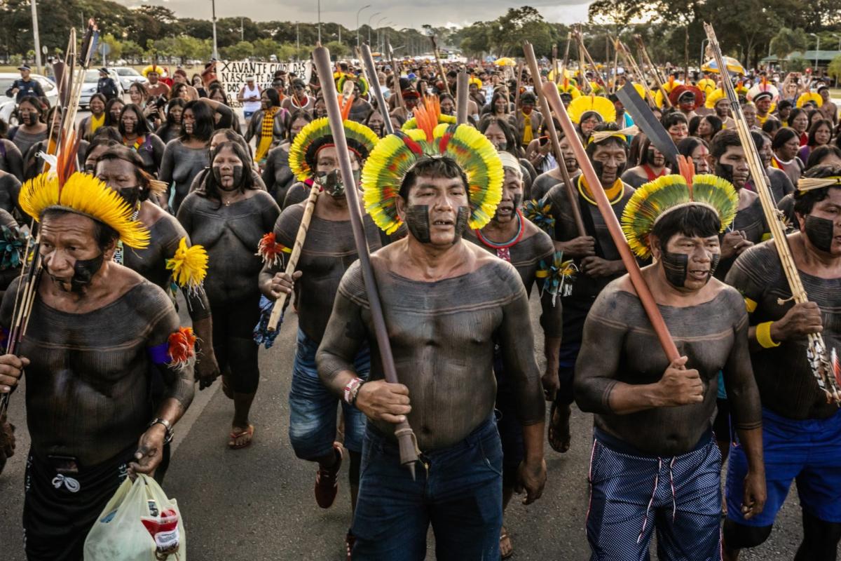 SSIR FPWAmazon Watch