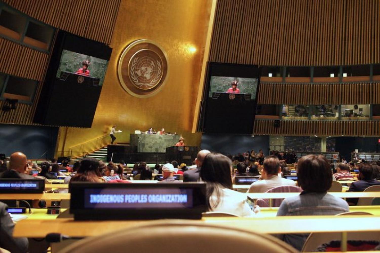 UNPFII 2023
