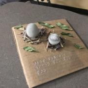 3D Model of a hatching chicken and an egg in a nest.