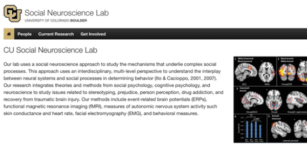 Ito social neuroscience lab screen snapshot