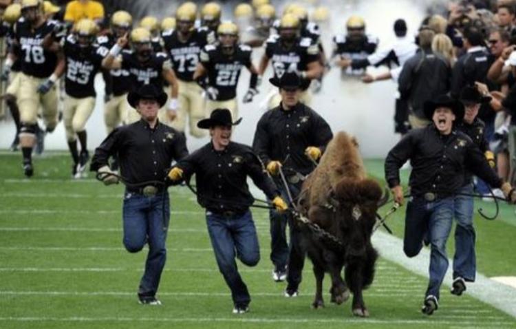 CU Buffs fans see their way clear to follow new bag rules