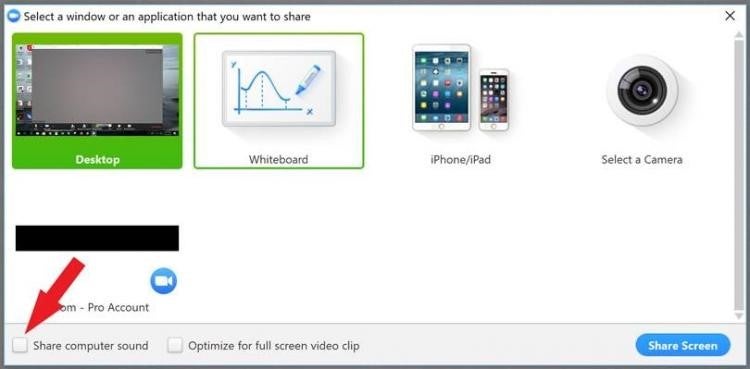 how to share screen on zoom presenter view