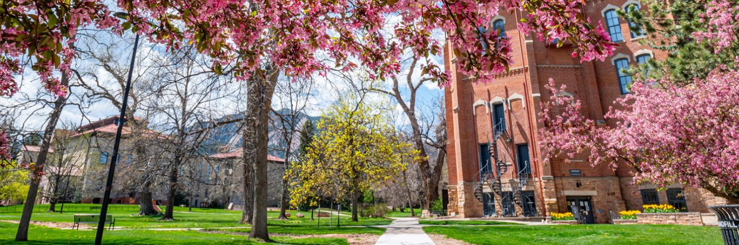 Spring blooms on campus