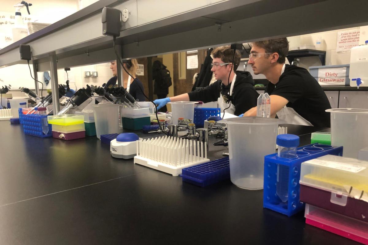 students in lab