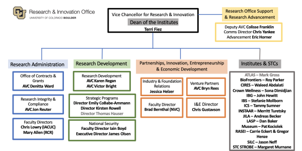 RIO Organizational Chart