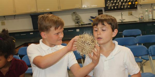 2 boys looking at a puffer fish