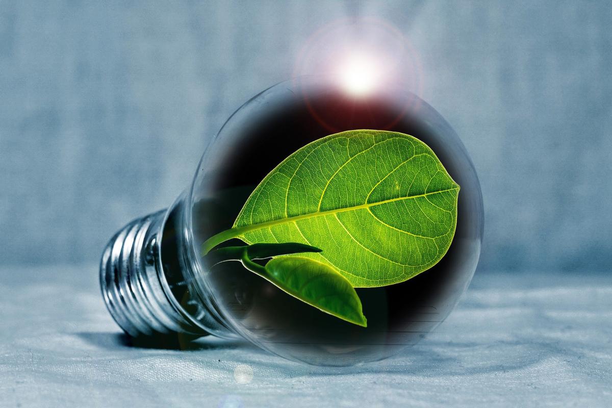 Graphic of lightbulb with leaf as light source